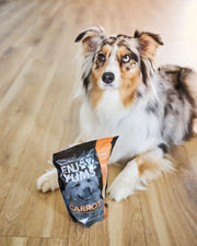 Dog laying down with a bag of Enjoy Yums carrot dog treats – all-natural, crunchy baked treats made with real carrots and wholesome ingredients.