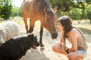 Woman crouching beside a dog and a horse as they look at each other – highlighting natural connection and companionship between pets and animals.